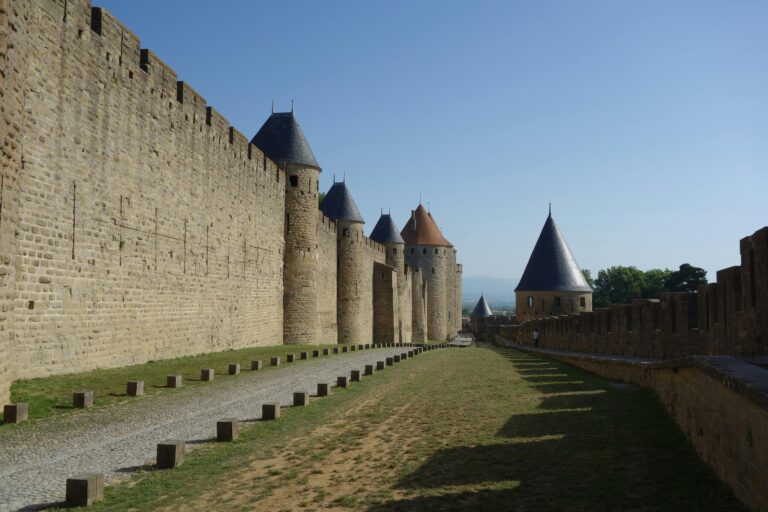 Carcassonne: Graf, König und Konsorten Erweiterung erklärt