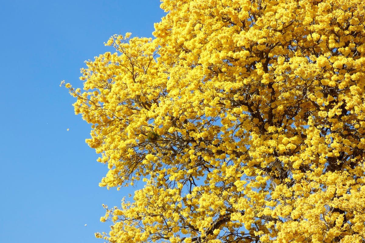 Erfolgstipps für Sag’s mir!