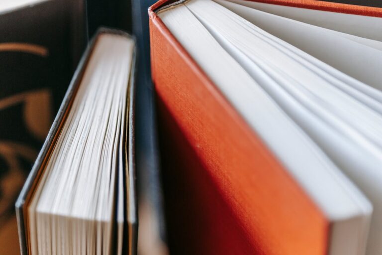 Spielregeln für Die Siedler von Catan: Das Buch zum Spielen