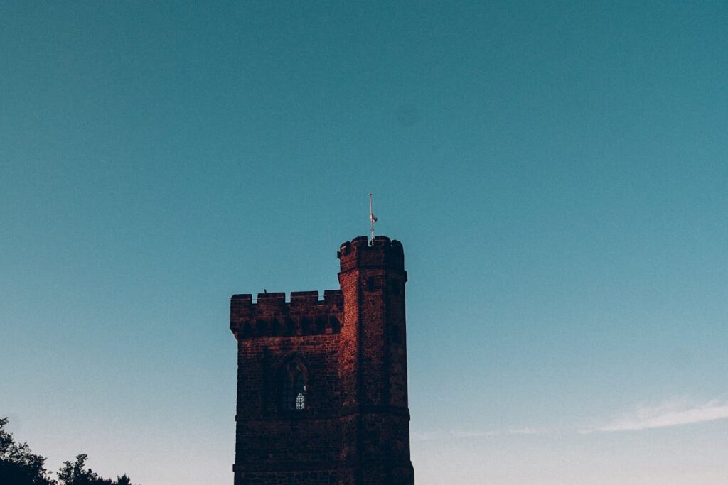 Wie man Carcassonne: Die Turm-Erweiterung spielt