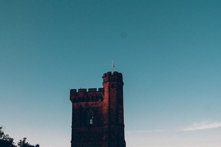 Wie man Carcassonne: Die Turm-Erweiterung spielt