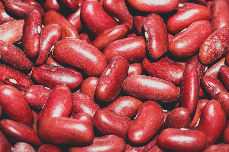 Die besten Strategien für Bohnanza: Ladybohn