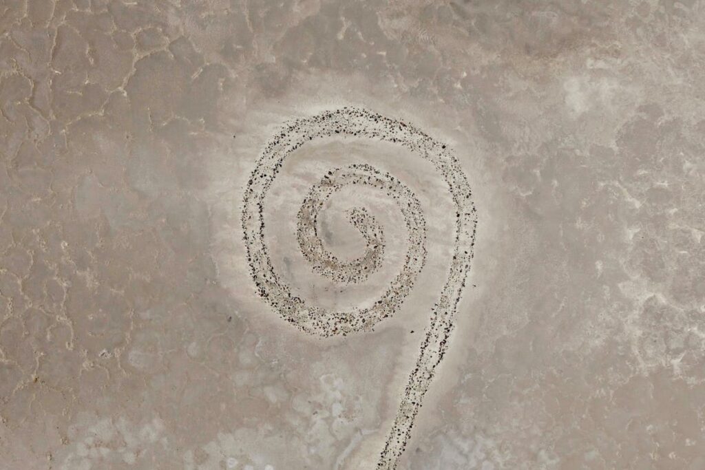 Die besten Tipps für Keltis: Das Orakel