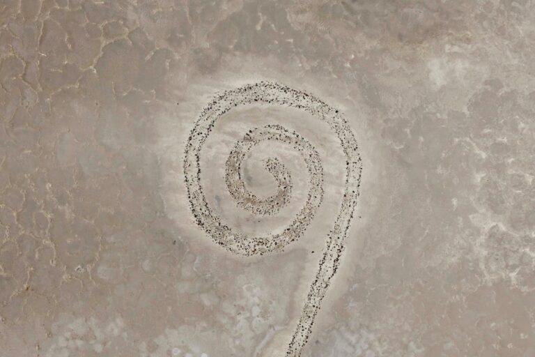 Die besten Tipps für Keltis: Das Orakel