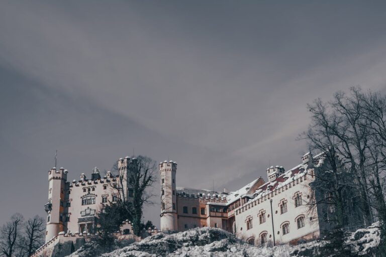 Spielanleitung für Carcassonne: Winter-Edition