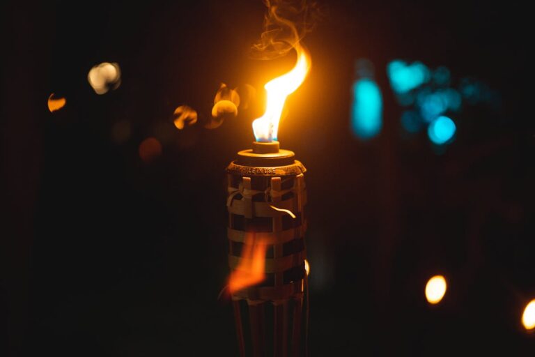 Spielregeln für Die Minen von Zavandor