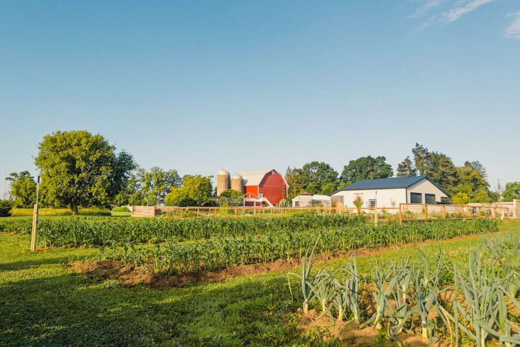 Wie man Agricola spielt
